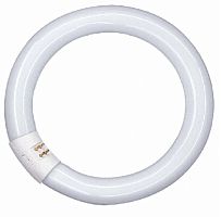 Лампа люминесцентная Osram L22W/840 T8 Трубчатая G10Q G13 220В 22Вт 1350Лм 4000К 26х216мм картинка 